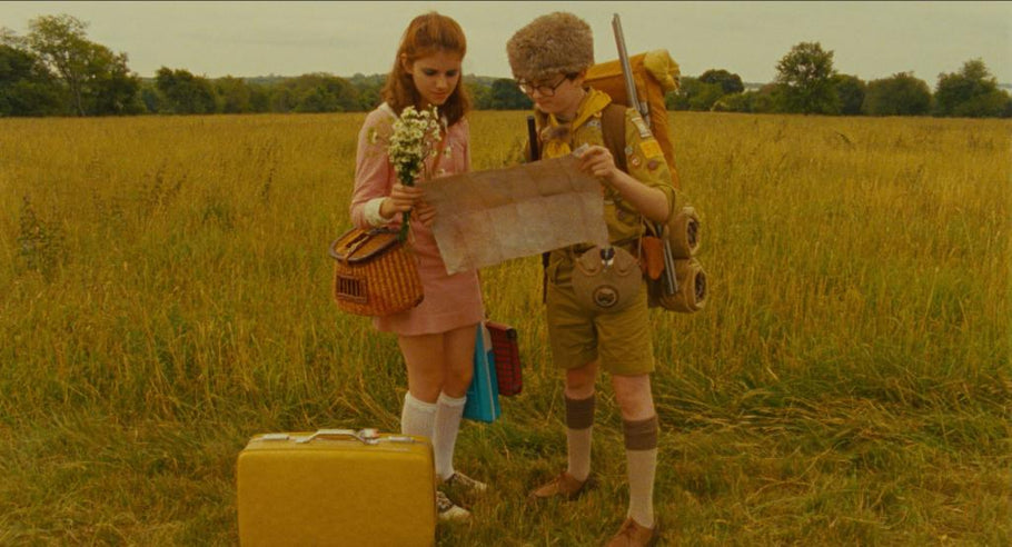 Movie Inspirations: Wes Anderson Palette