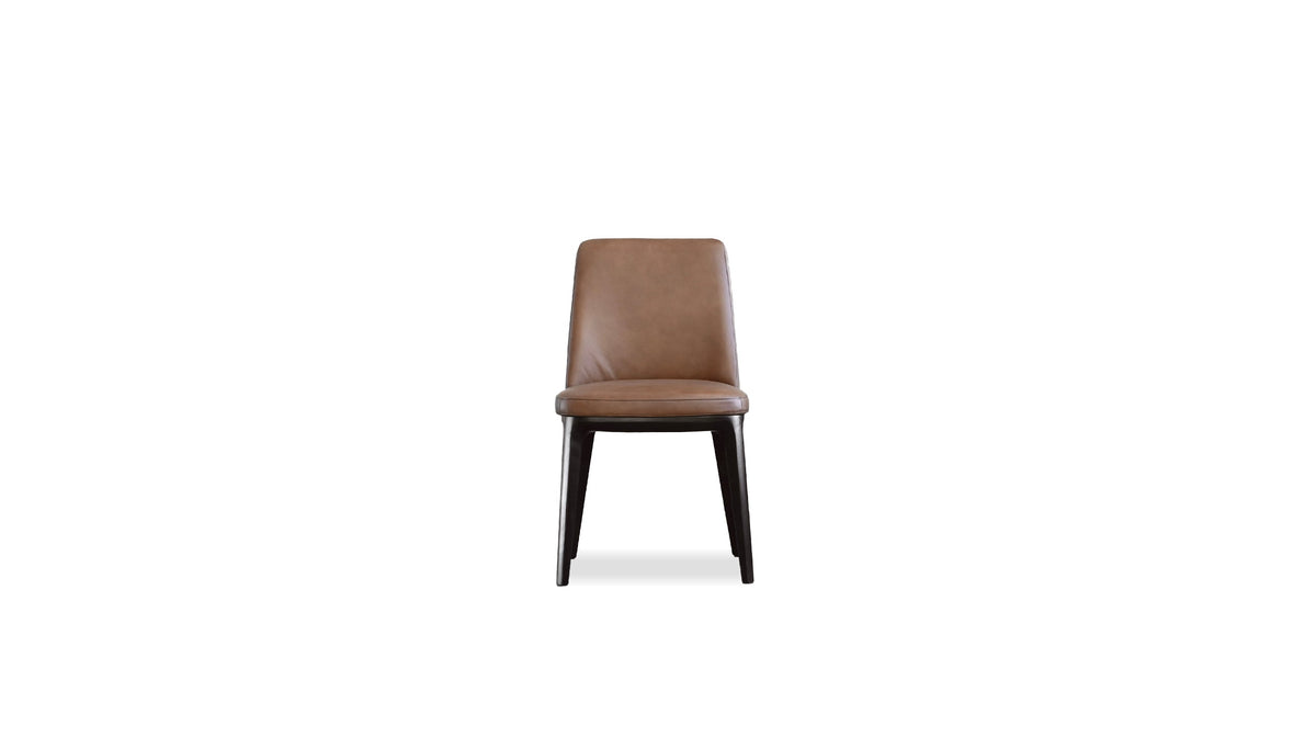 Maven Dining Chair in Cacao Brown