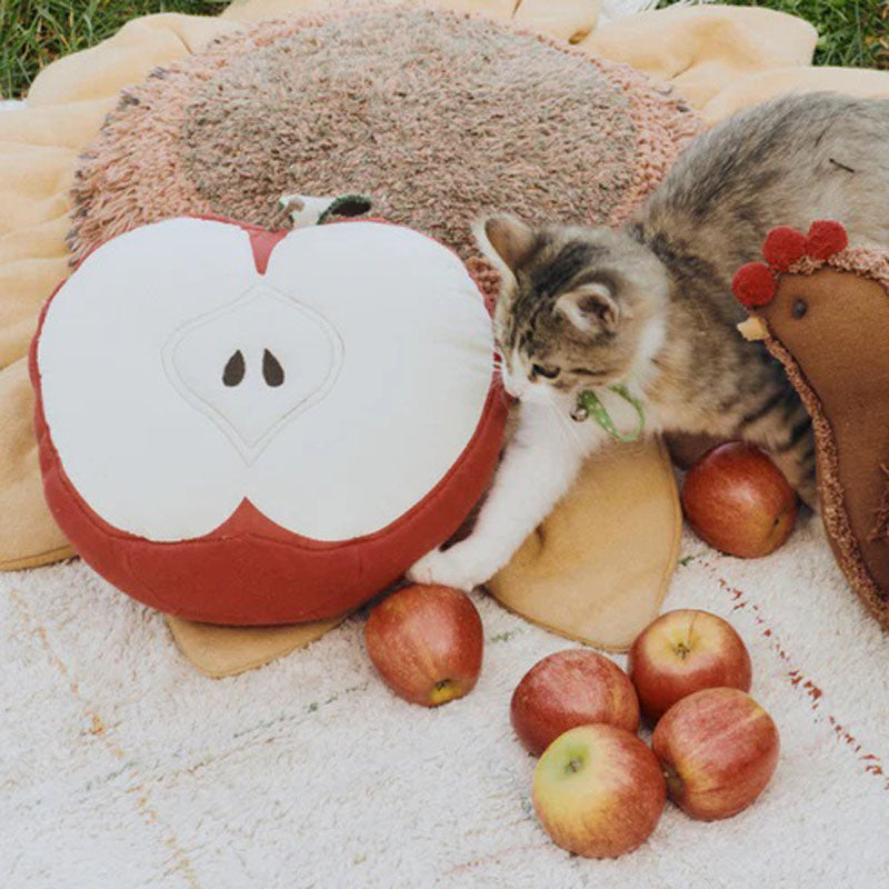 Growing up Cushion by Lorena Canals, showing growing up cushion in live shot.