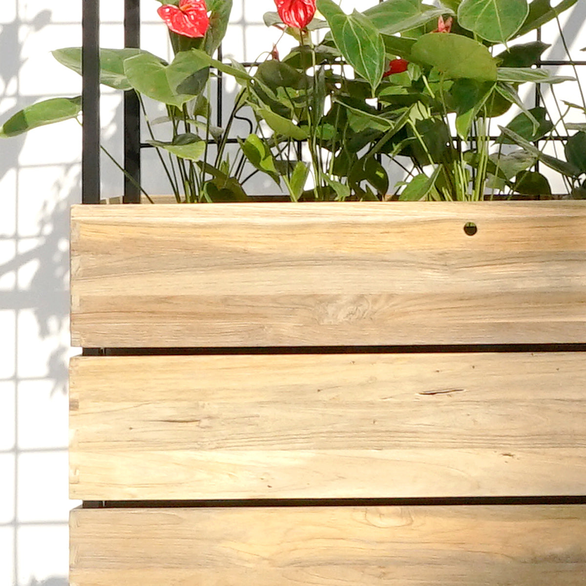 Aiko Planter by Mamagreen, showing closeup view of aiko planter in live shot.