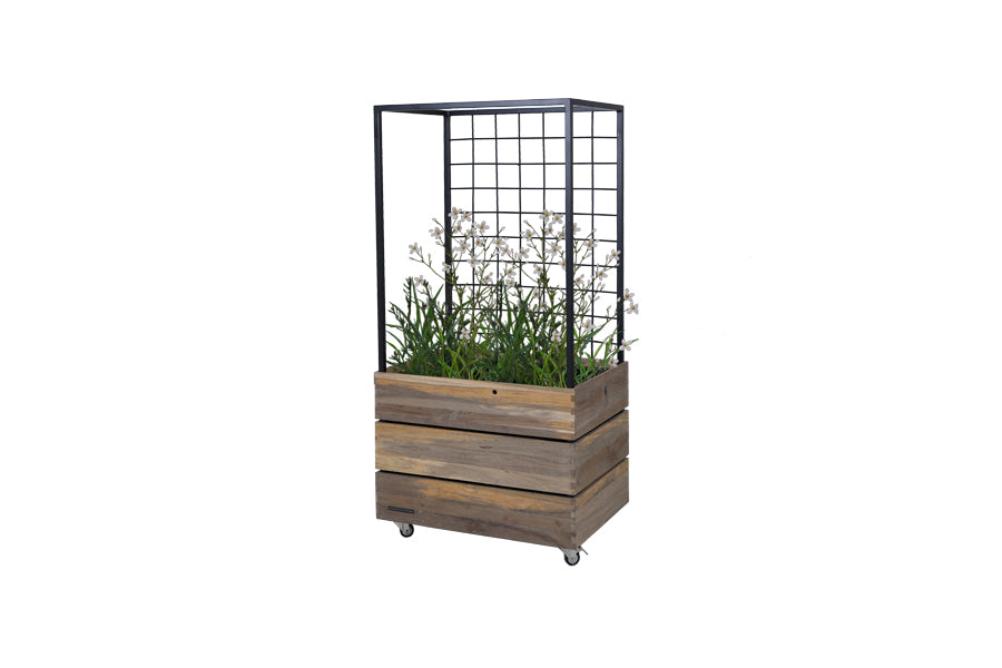 Aiko Planter by Mamagreen, showing angle view of aiko planter in rectangular/original teak wood/black aluminum.