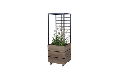 Aiko Planter by Mamagreen, showing angle view of aiko planter in square/original teak wood/black aluminum.