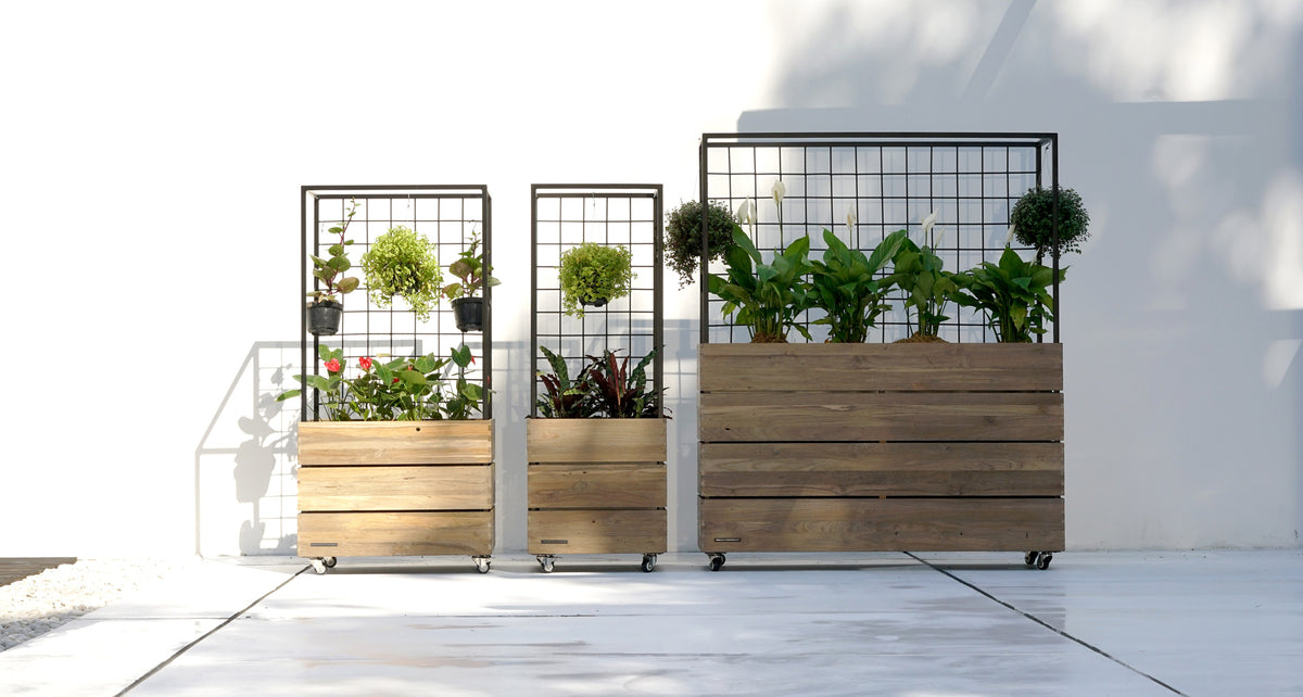 Aiko Planter Divider by Mamagreen, showing aiko planter divider in live shot.