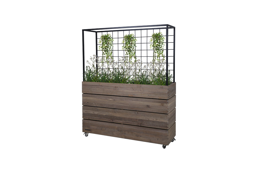 Aiko Planter Divider by Mamagreen, showing angle view of aiko planter divider in original teak wood/black aluminum.