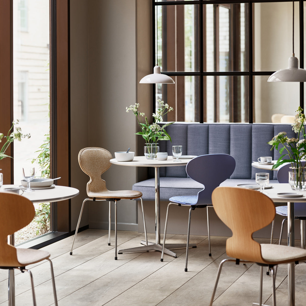 Ant Front Upholstery Chair by Fritz Hansen, showing ant front upholstery chairs in live shot.
