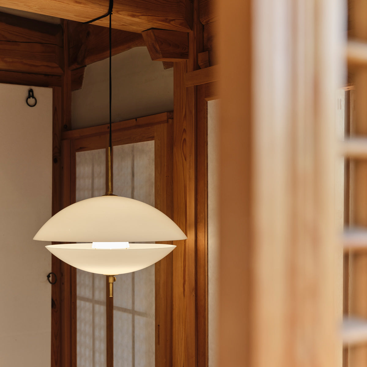 Clam Pendant by Fritz Hansen, showing clam pendant in live shot.