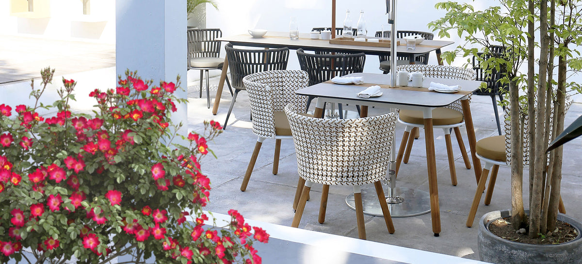 Daisy 63" Rectangular Dining Table Teak Legs by Mamagreen, showing daisy 63" rectangular dining table teak legs in live shot.