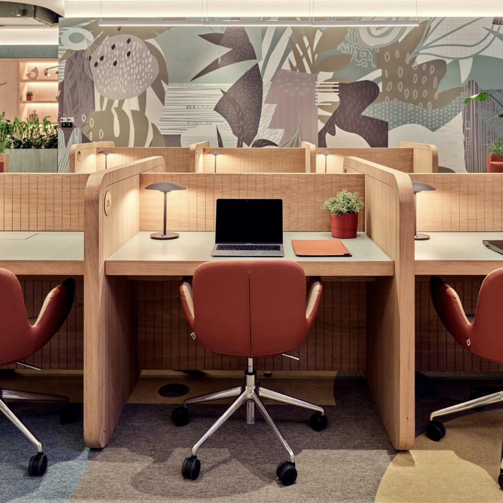 Daisy Premium Office Chair by B&T, showing daisy premium office chairs in live shot.
