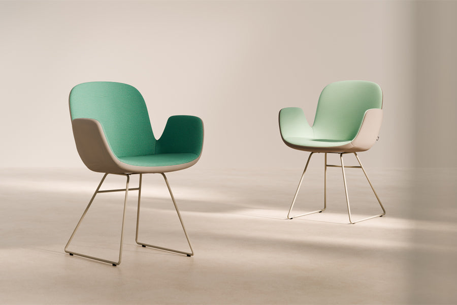 Daisy Sled Chair by B&T, showing daisy sled chairs in live shot.