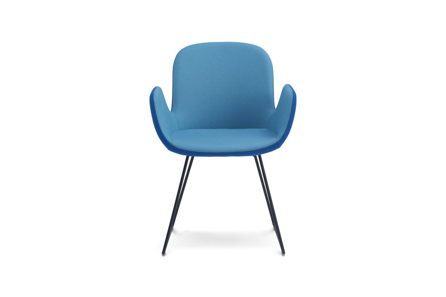 Daisy Sled Chair by B&T, showing front view of daisy sled chair in anthracite ral 7016 base.
