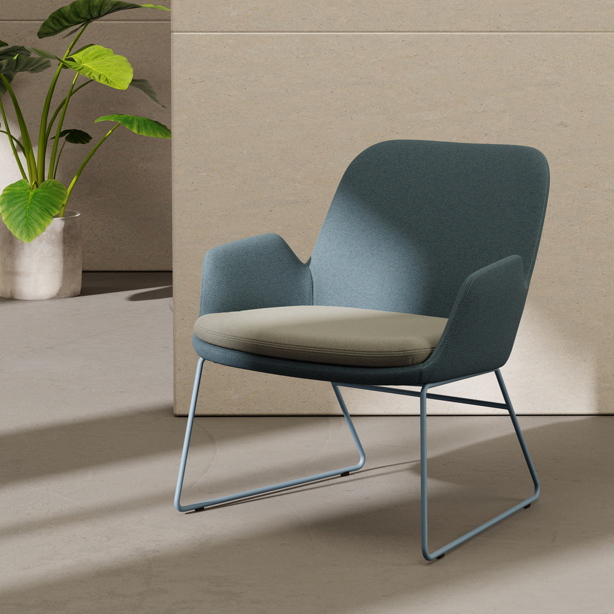 Daisy Sled Lounge Chair by B&T, showing daisy sled lounge chair in live shot.