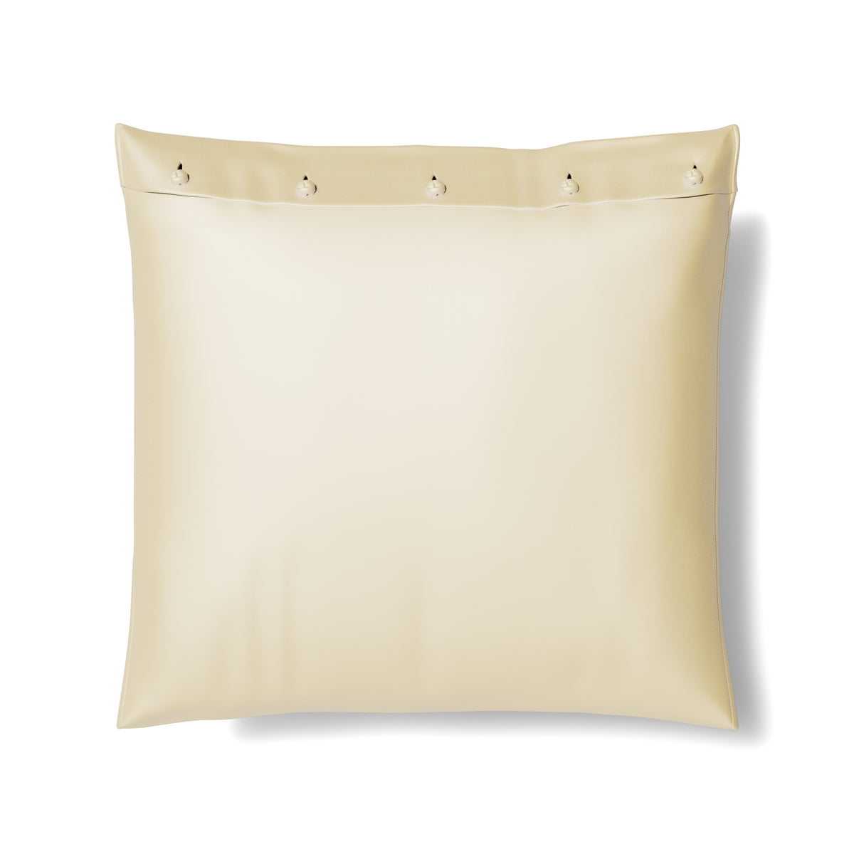 Charmeuse Sham With French Knots in Ivory