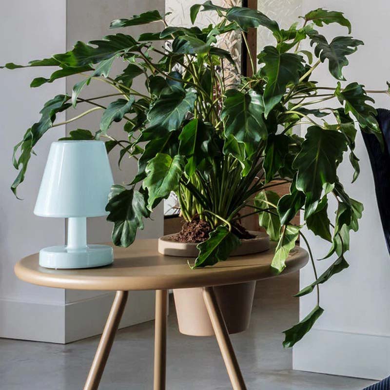 Edison The Ambiance Table Lamp by Fatboy, showing edison the ambiance table lamp  in live shot.