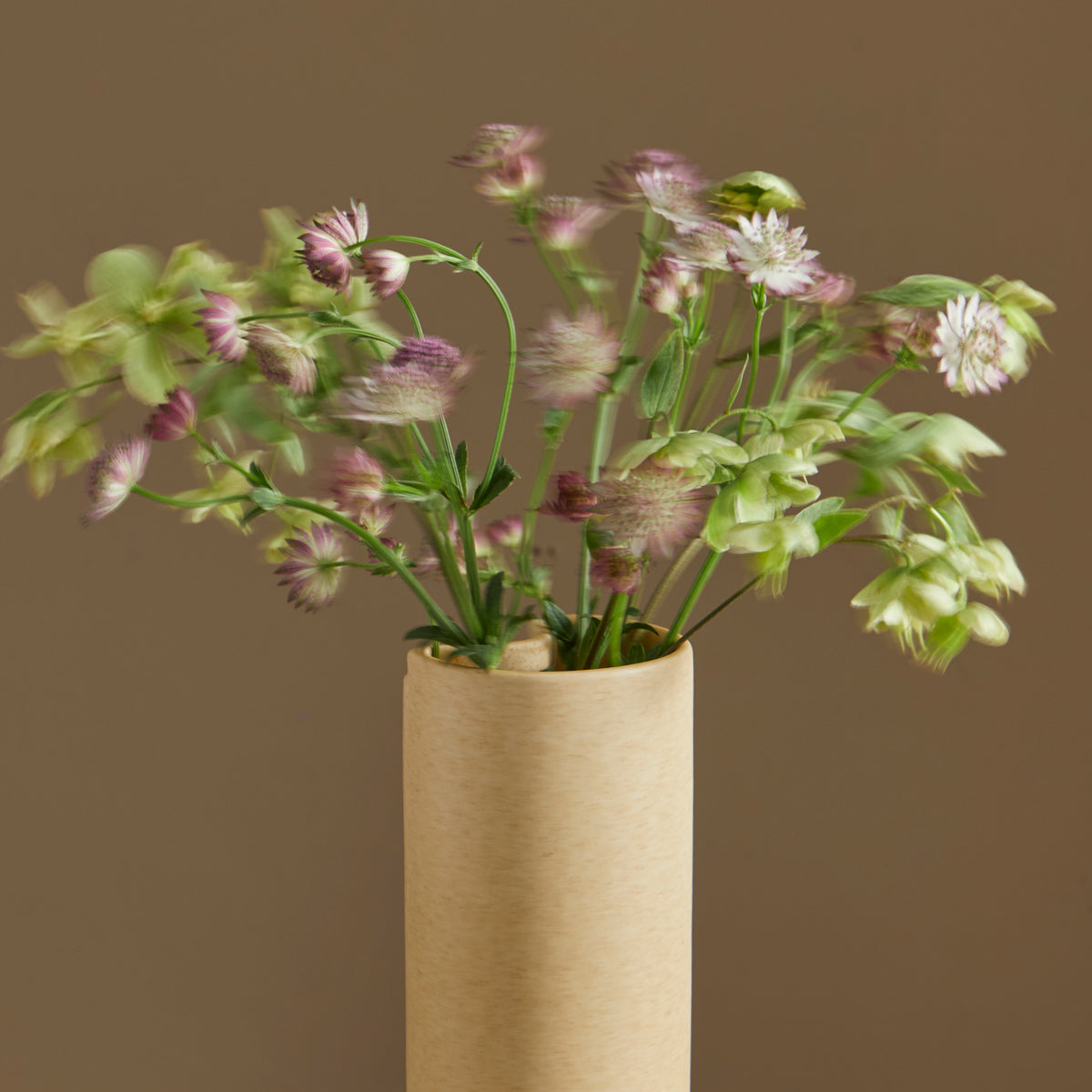 Flowr Vase by Woud, showing closeup view of flowr vase in live shot.