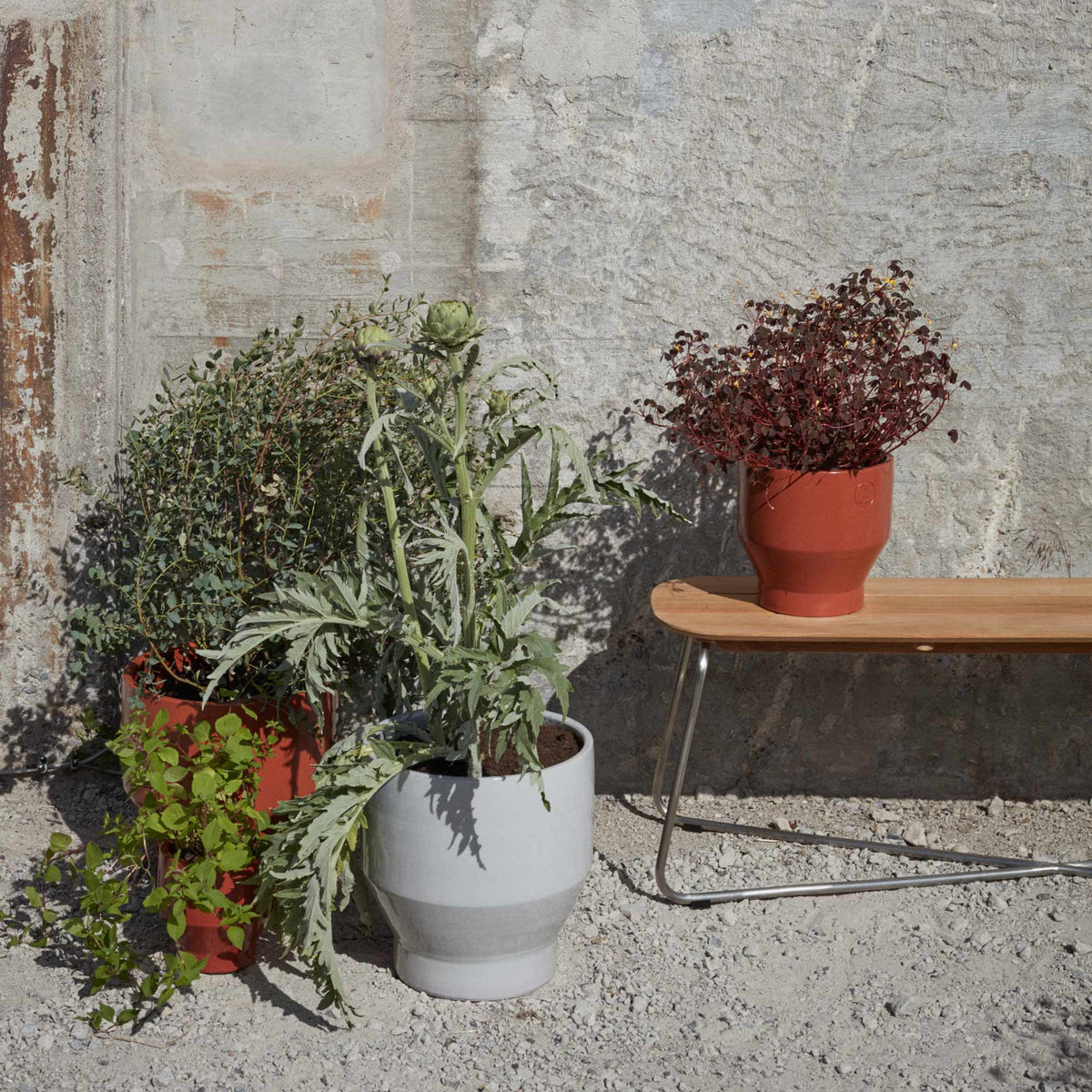 Lilium Teak Bench by Skagerak, showing lilium bench in live shot.