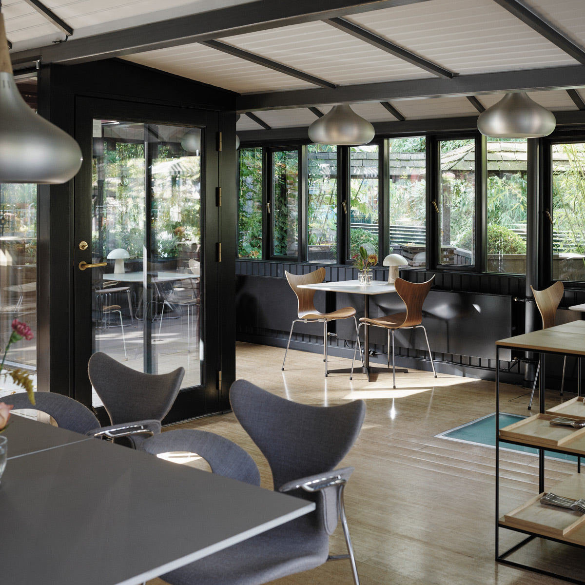 Lily Armchair by Fritz Hansen, showing lily armchairs in live shot.