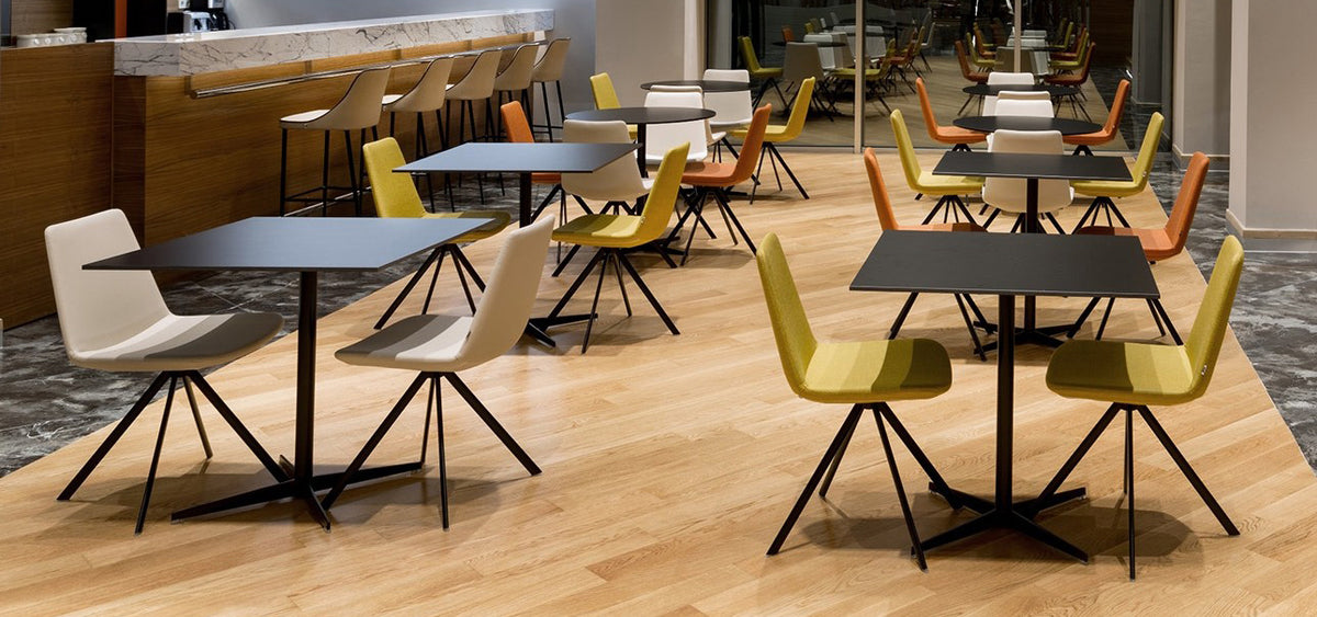 Pera Chair by B&T, showing pera chairs in live shot.