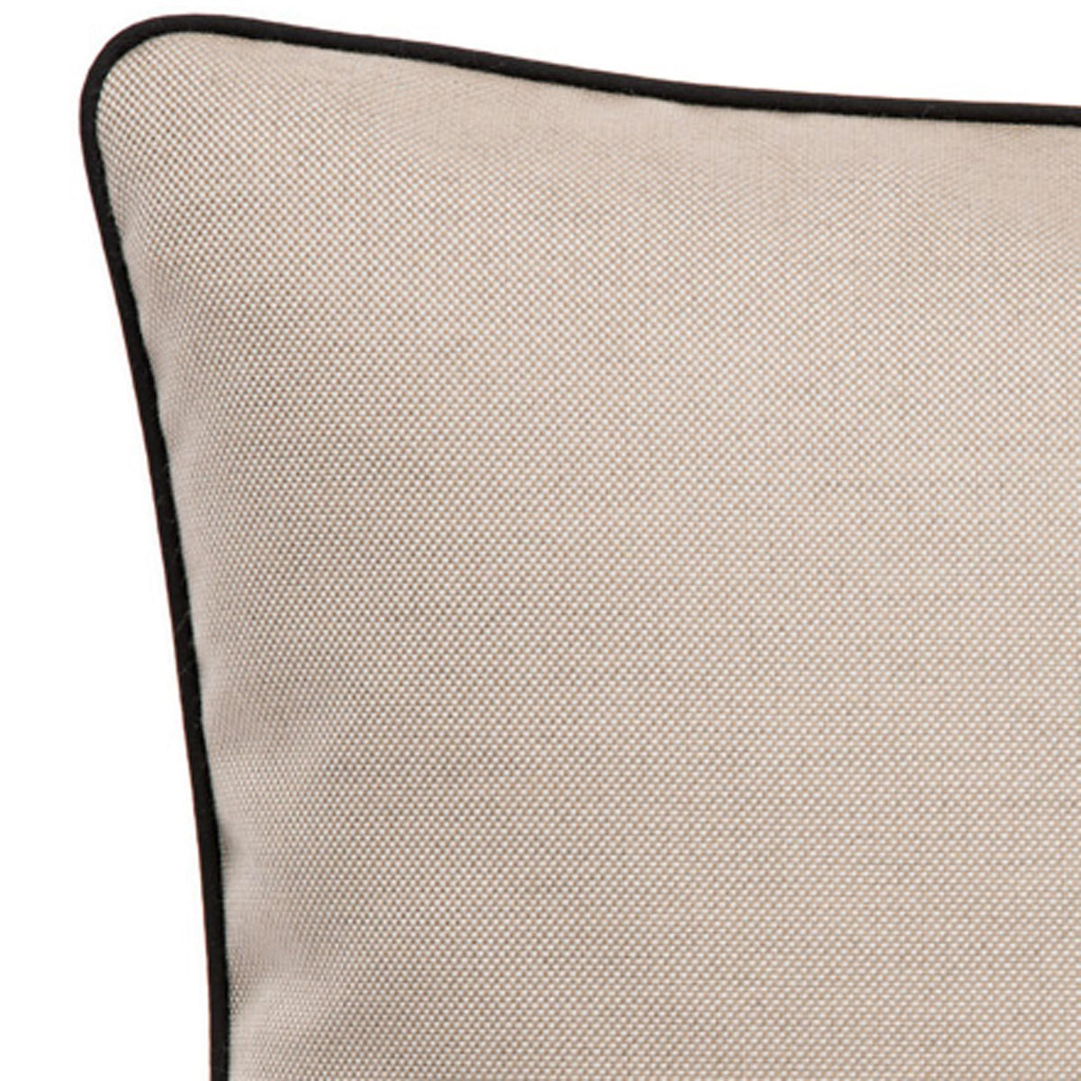 RAY Cushion