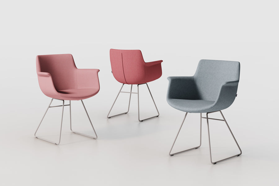 Rego Sled Armchair by B&T, showing rego sled armchairs in live shot.