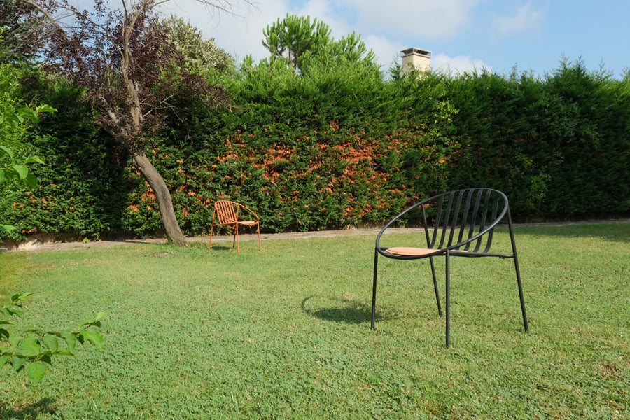Rosa Chair by Kollektiff, showing rosa chairs in live shot.