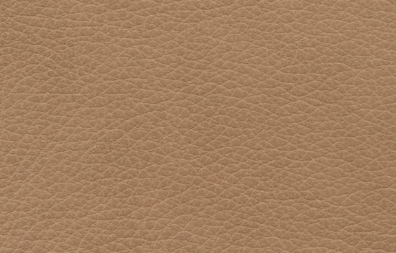 Sienna Leather (Sample) by Ethnicraft.