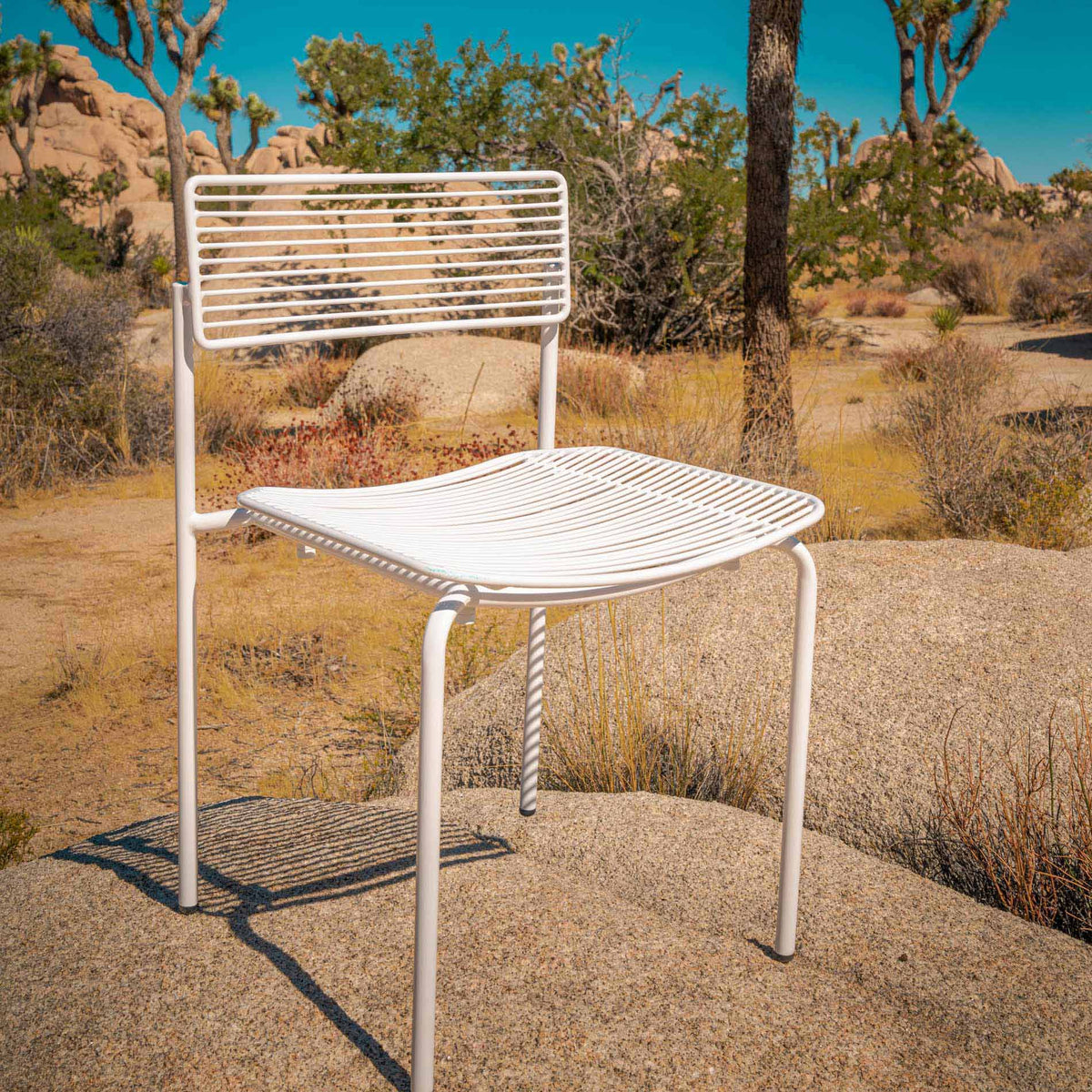 The Rachel Chair by Bend, showing the rachel chair in live shot.