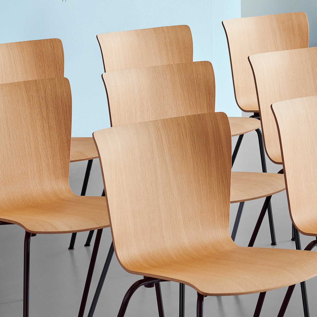 Vico Duo Chair by Fritz Hansen, showing closeup view of vico duo chairs in live shot.