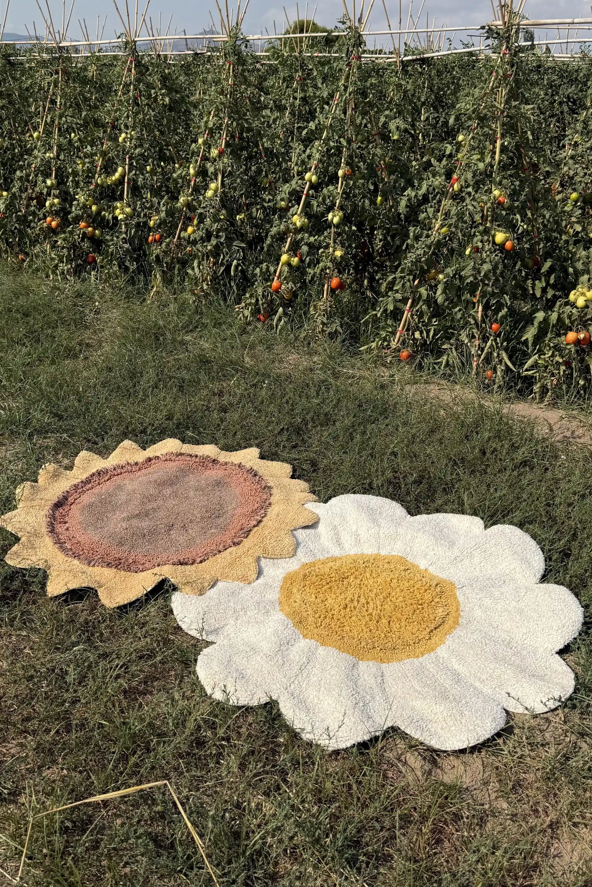 Washable Rug White Daisy by Lorena Canals