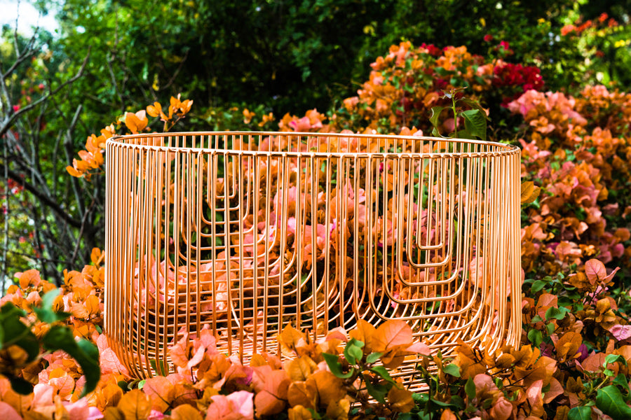 18" Bend Basket by Bend, showing 18" bend basket in live shot.