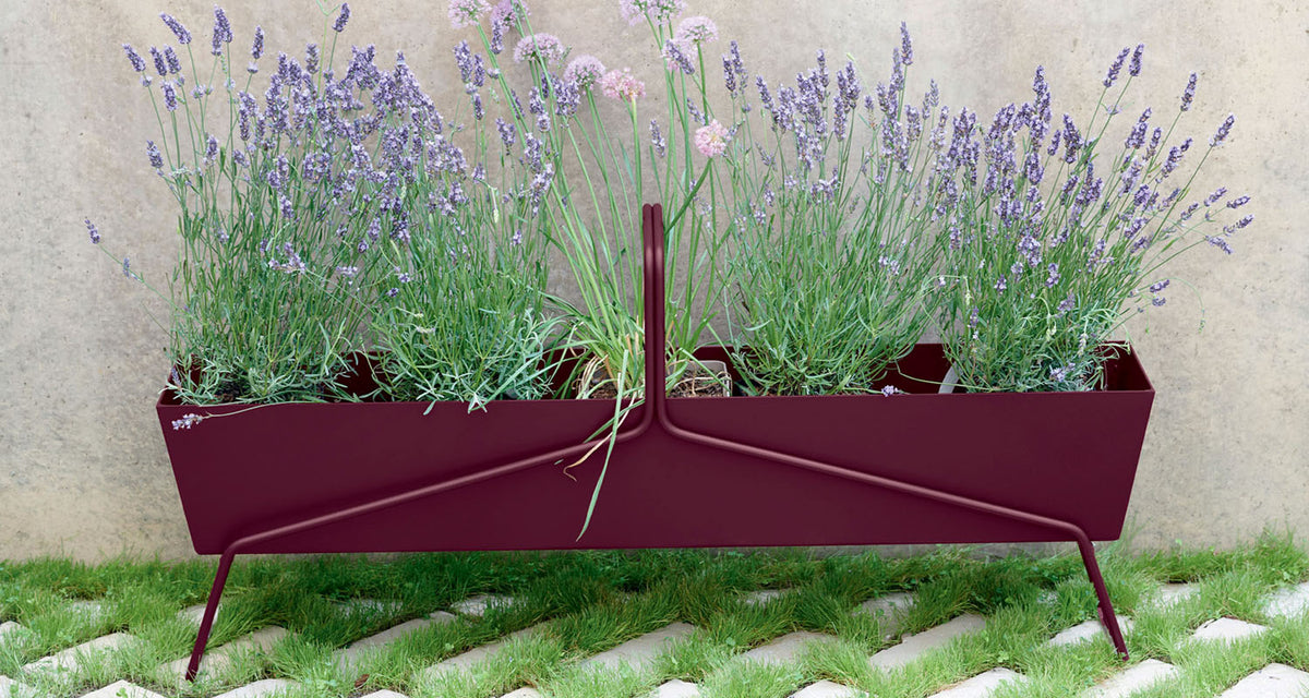 Basket Planter by Fermob, showing basket planter in live shot.