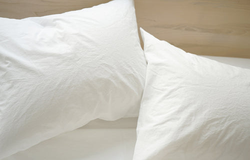 Anton White Cotton Pillow Cases (pair) by Area.