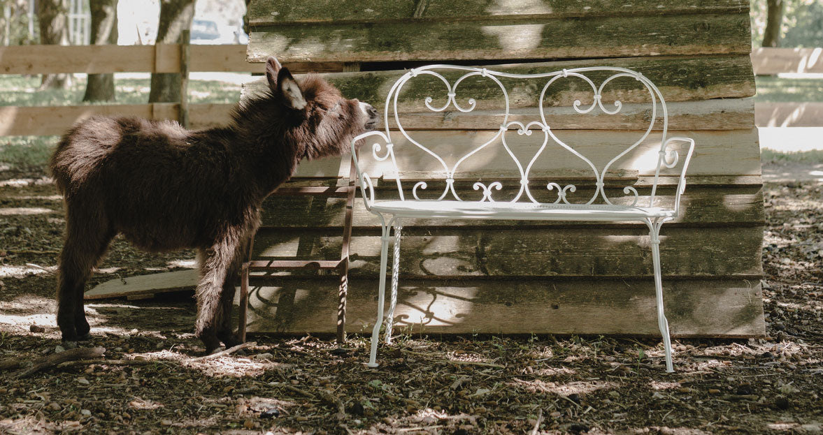 1900 Bench by Fermob, showing front view of the bench in the live shot.