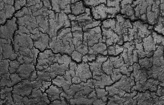 Black Minerals Finish (Samples) by Ethnicraft.