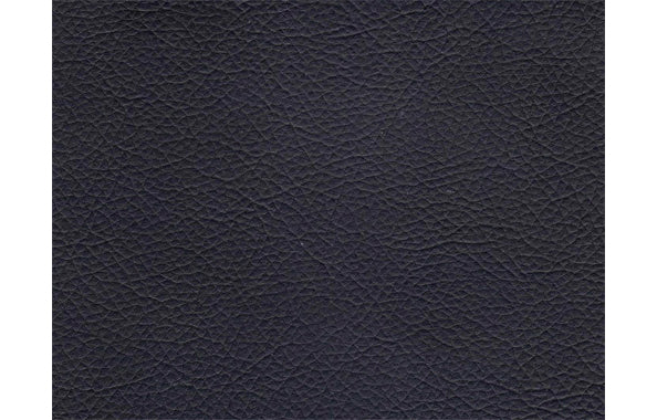 Black PPM (Sample)