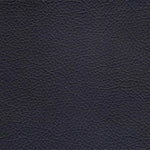 Black PPM (Sample)