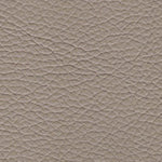 Bone PPM (Sample)