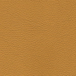 Caramel PPM (Sample)