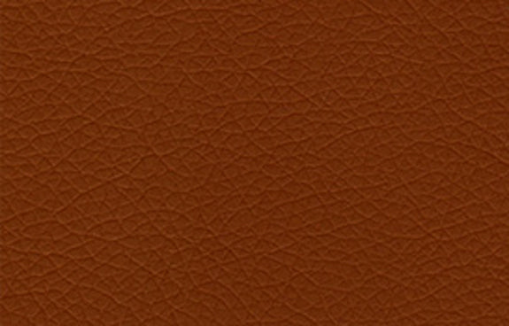 Cinnamon PPM-FR (Sample) by SohoConcept