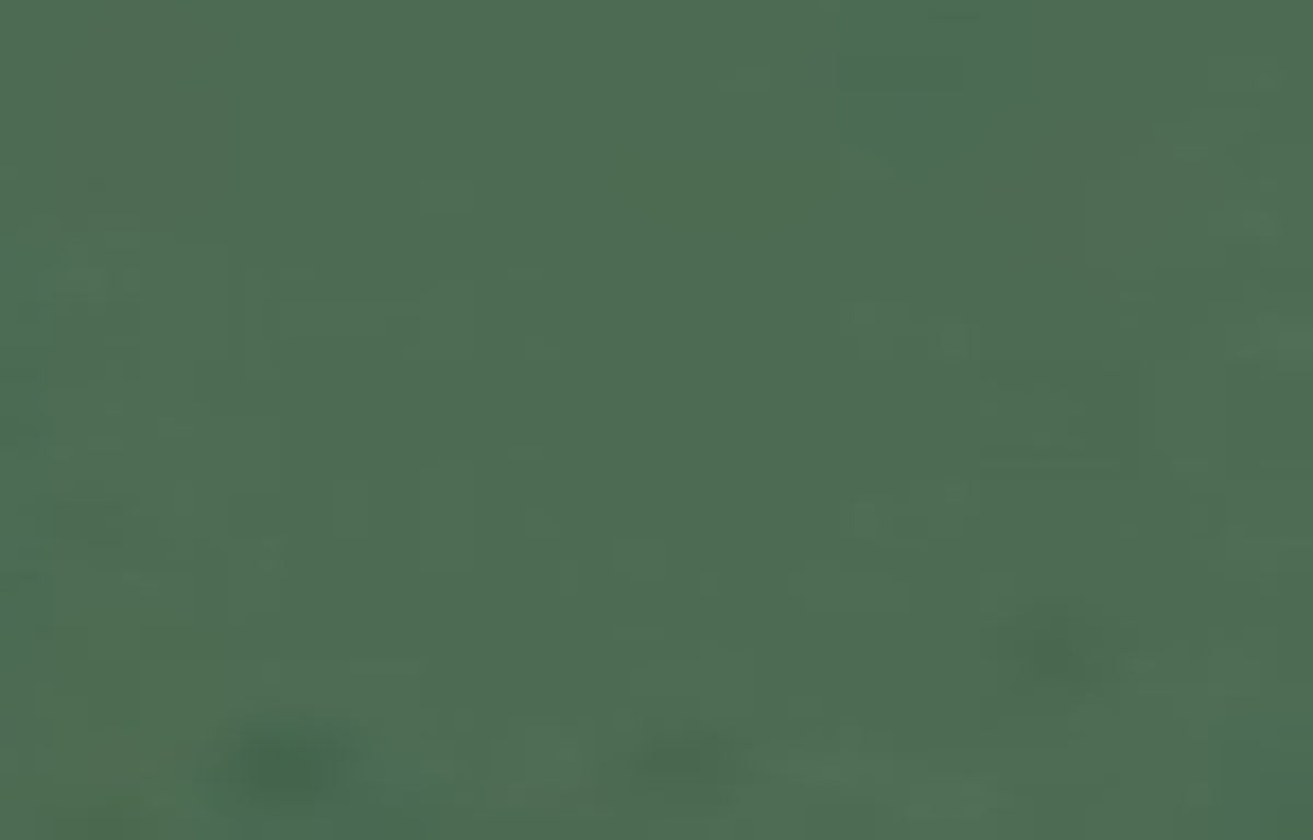 Dark Green Plastic (Sample).