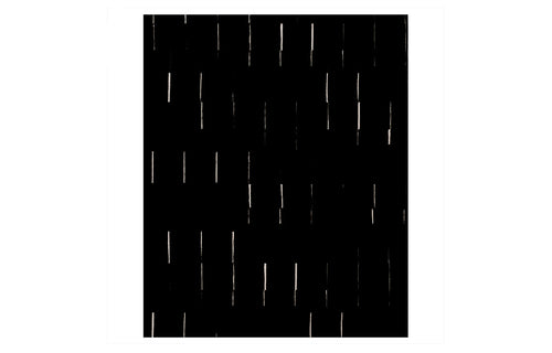 Dizo DO100 Rug by Second Studio - Black & White.