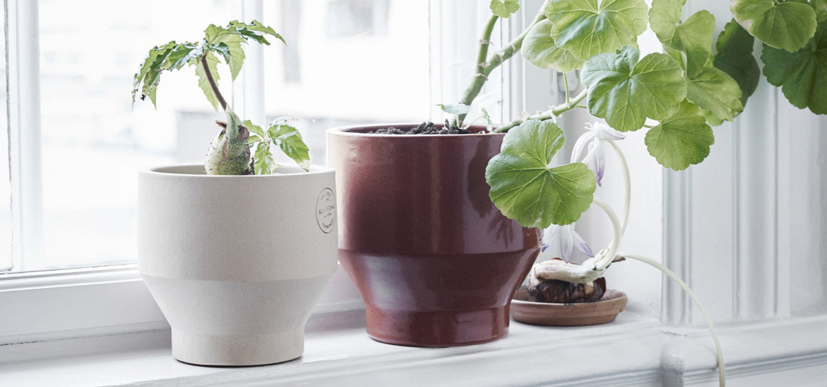 Edge Pot by Skagerak, showing edge pot in live shot.