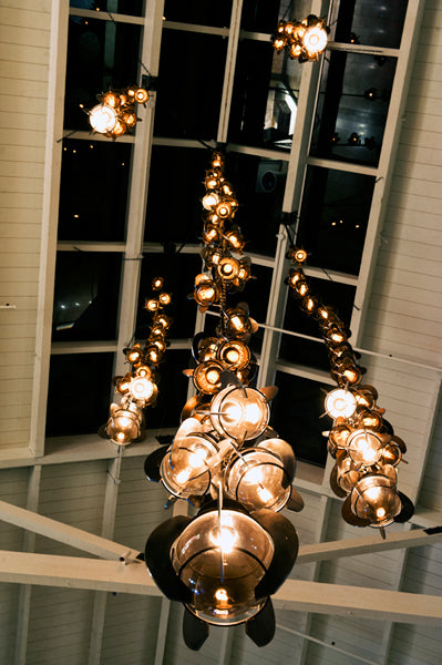 James De Wulf Falling Flowers Chandelier by De Wulf, showing falling flowers chandeliers in live shot.