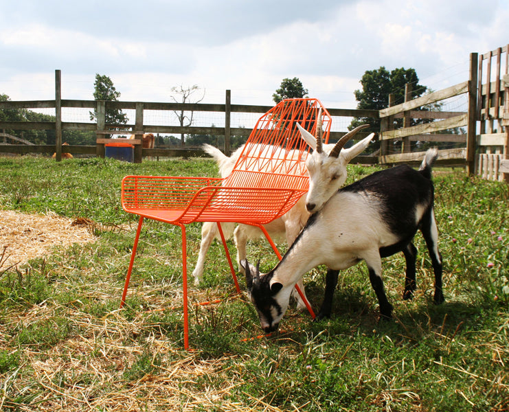 Farmhouse Lounge Chair by Bend, showing farmhouse lounge chair in live shot.