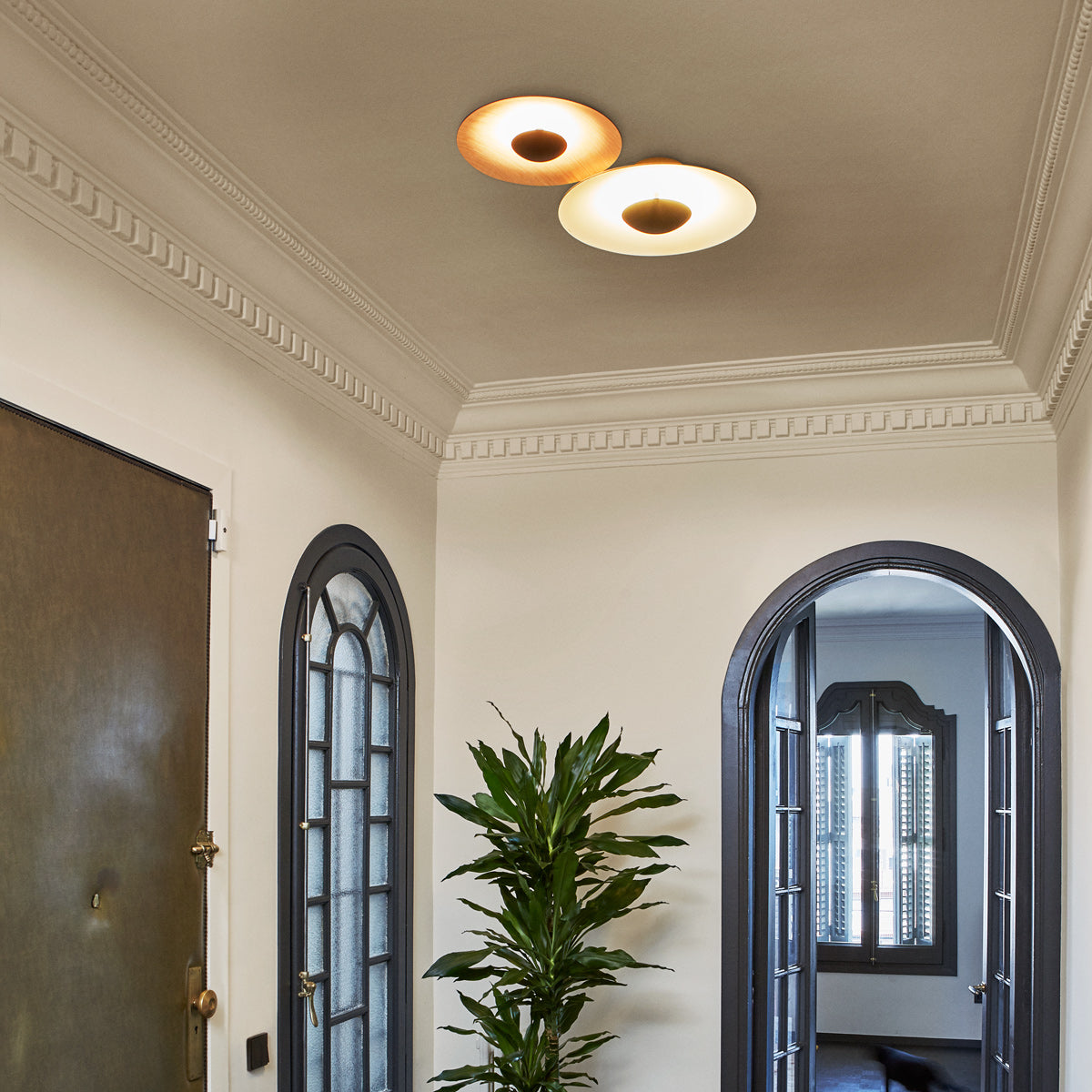 Ginger C2 20+32 Wall/Ceiling Accessory by Marset, showing ginger c2 20+32 wall/ceiling accessory in live shot.