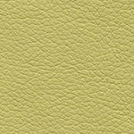 Green Leatherette (Sample)