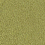 Green PPM (Sample)