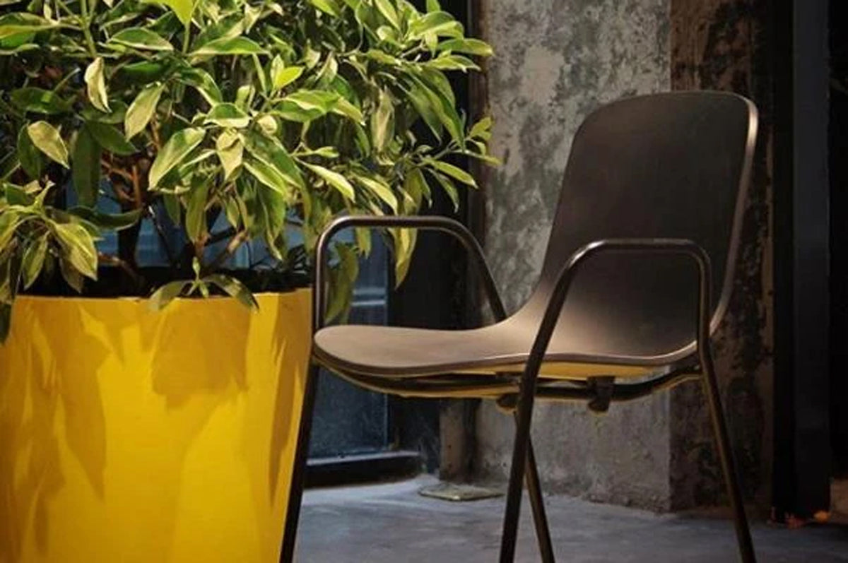 Holi Arm Chair by Toou, showing angle view of arm chair in the live shot.