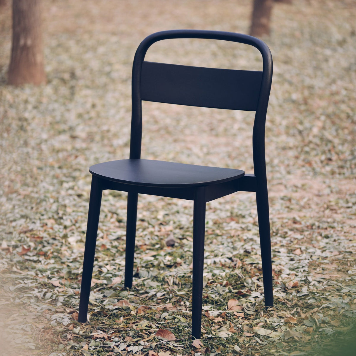 Yue Chair by Kollektiff, showing yue chair in live shot.