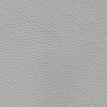 Light Grey PPM (Sample)