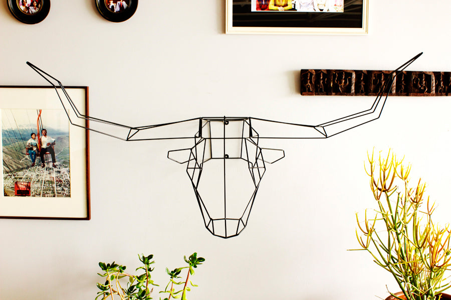 Long Horn by Bend, showing long horn in live shot.